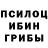 Галлюциногенные грибы GOLDEN TEACHER Reg Claybrook