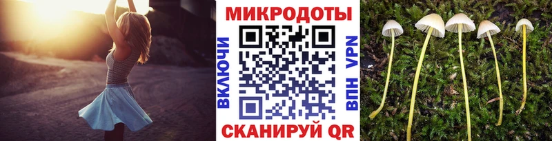 хочу наркоту Нелидово Галлюциногенные грибы мицелий
